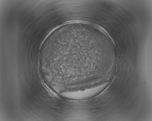 X0000051261244200507082209