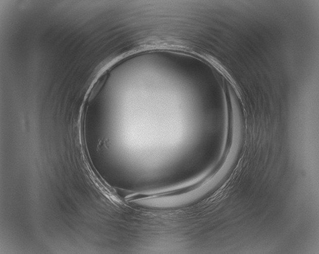X0000051261246200507082209