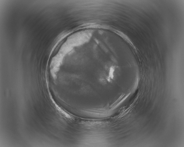 X0000051261247200507082209