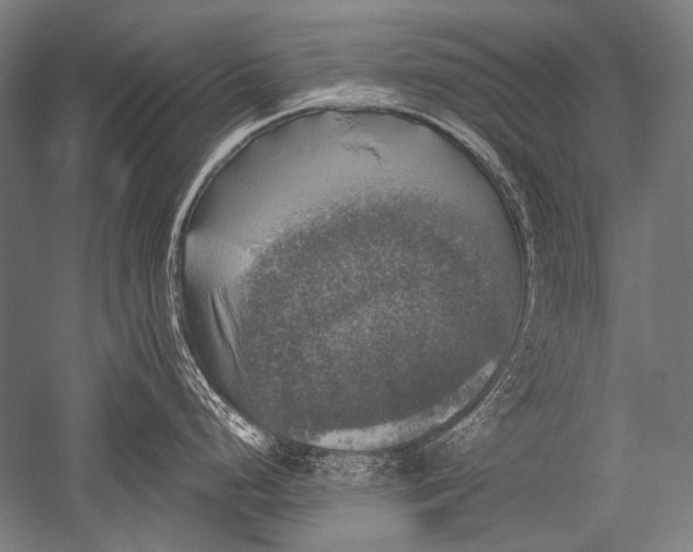 X0000051261248200507082209