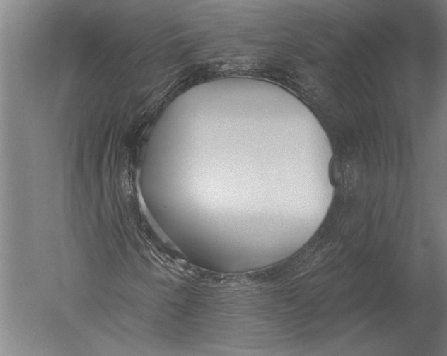X0000051261250200507082208