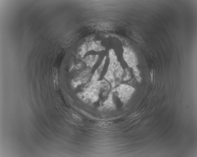 X0000051261251200507082208