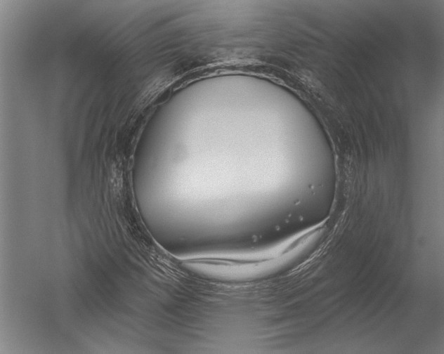 X0000051261257200507082208