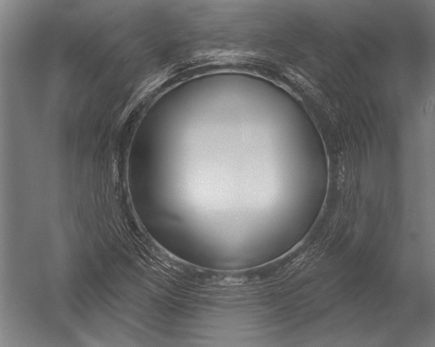 X0000051261261200507082208