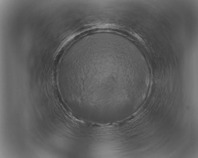 X0000051261263200507082208