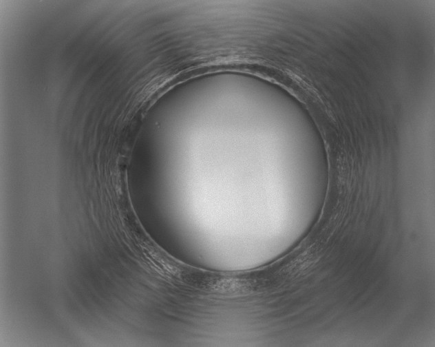 X0000051261265200507082208