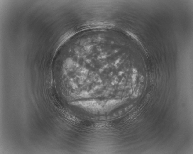 X0000051261267200507082207