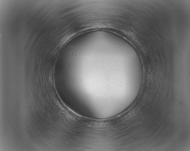 X0000051261273200507082207