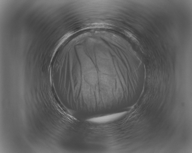 X0000051261275200507082207