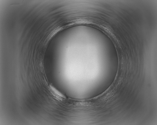 X0000051261281200507082207