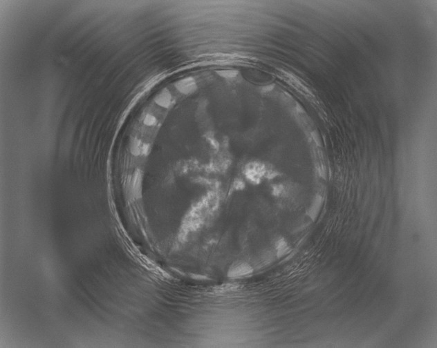 X0000051261283200507082207