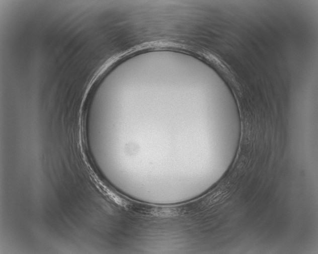 X0000051261286200507082207