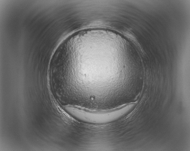 X0000051261288200507082207