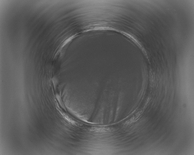 X0000051261289200507082207