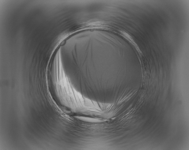 X0000051261291200507082207