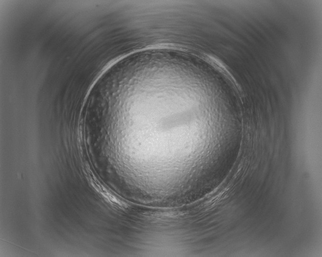 X0000051261292200507082207