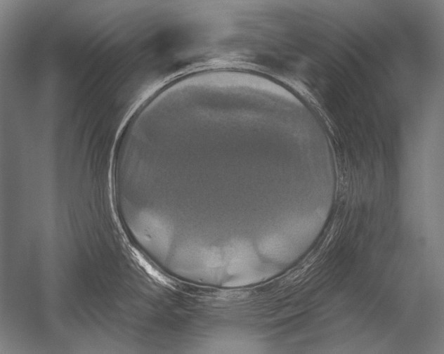 X0000051261294200507082207