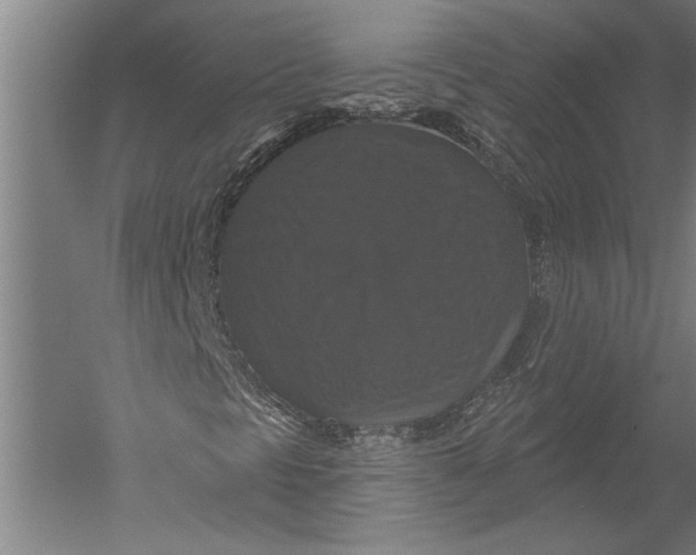 X0000051261297200507082206