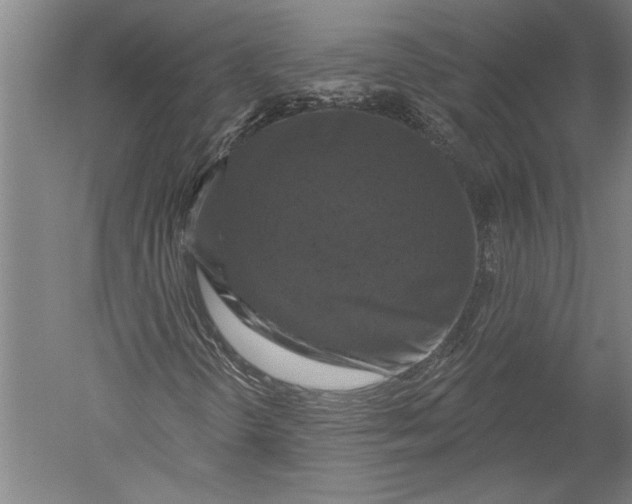 X0000051261298200507082206
