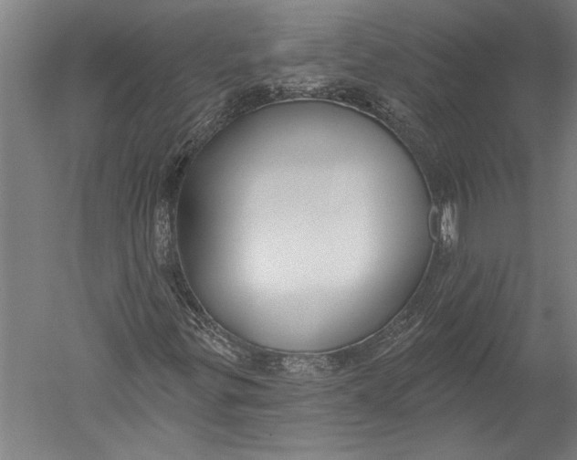 X0000051261299200507082206