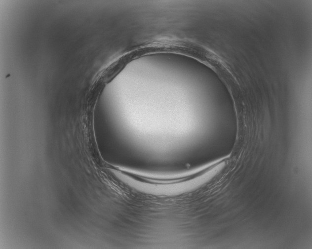 X0000051261304200507082206