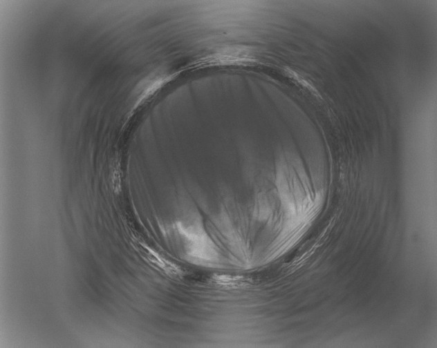 X0000051261306200507082206