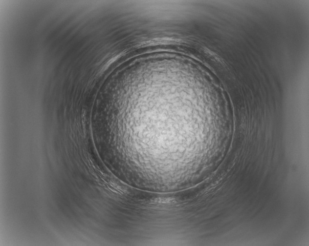 X0000051261313200507082206