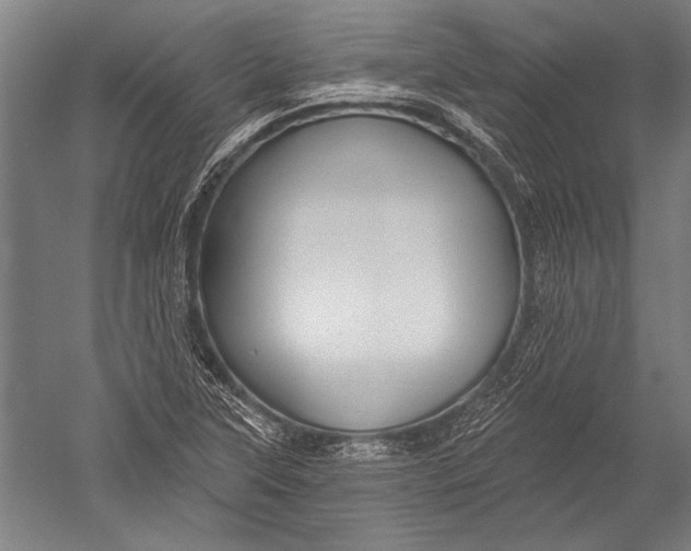 X0000051261315200507082206
