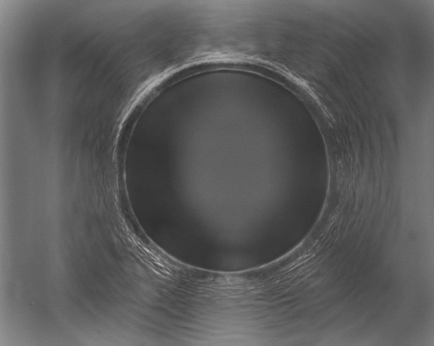 X0000051261319200507082207