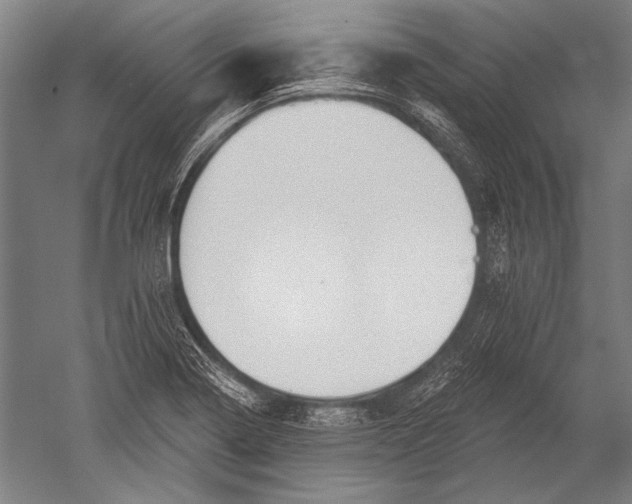 X0000051261322200507082207