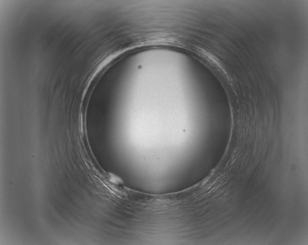 X0000051261324200507082207