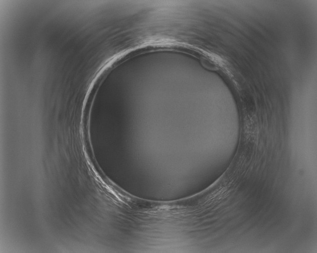 X0000051261327200507082207