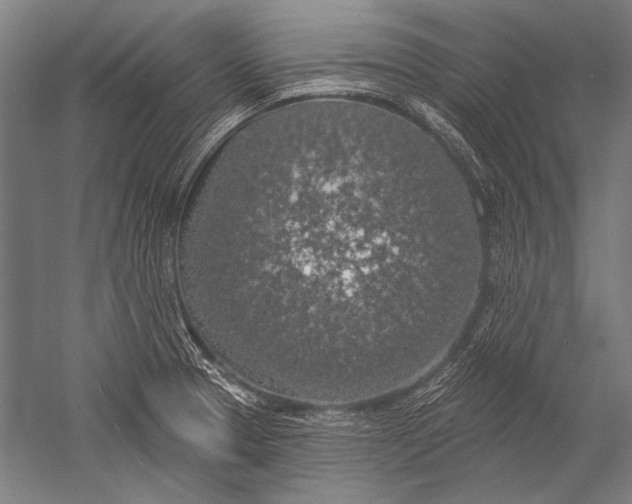X0000051261329200507082207