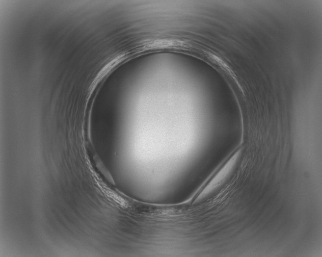 X0000051261330200507082207