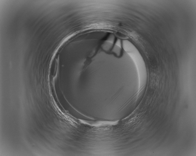 X0000051261331200507082207