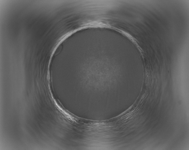 X0000051261335200507082207