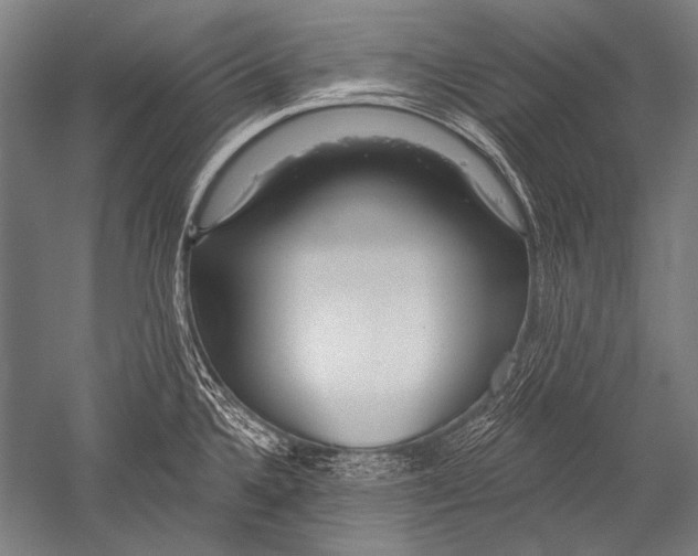 X0000051261336200507082207