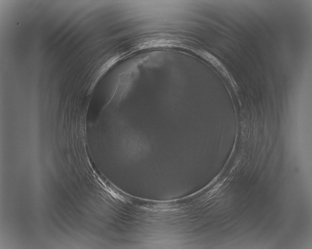 X0000051261337200507082207