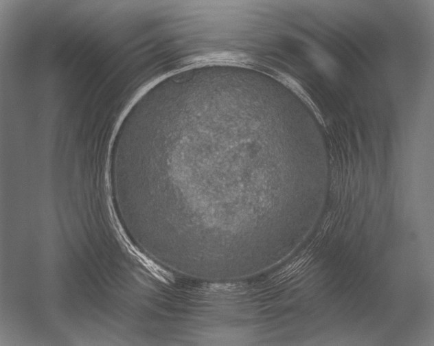 X0000051261339200507082207