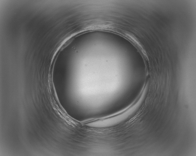 X0000051261340200507082207