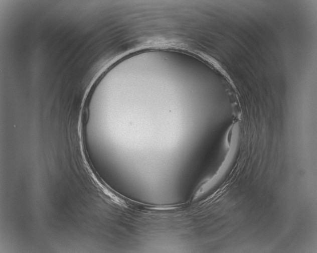 X0000051261343200507082207