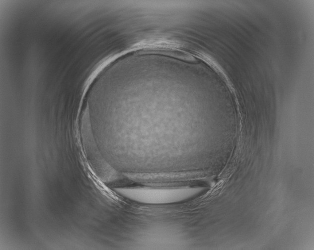 X0000051261344200507082207