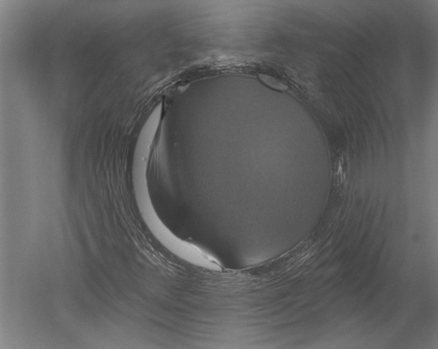 X0000051261348200507082206