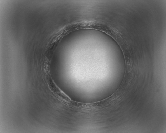 X0000051261349200507082206