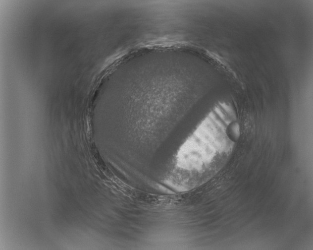 X0000051261350200507082206