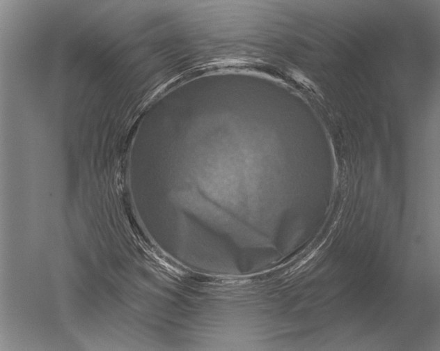 X0000051261353200507082206