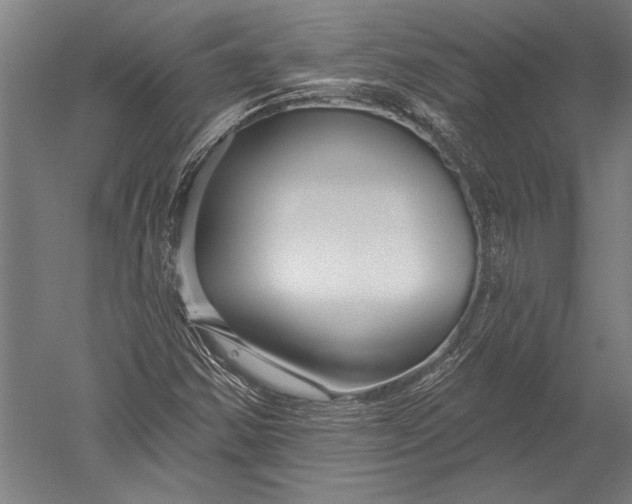 X0000051261354200507082206