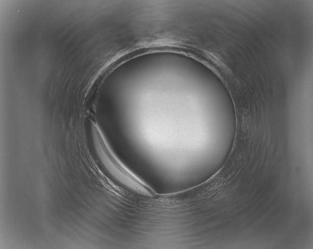 X0000051261356200507082206