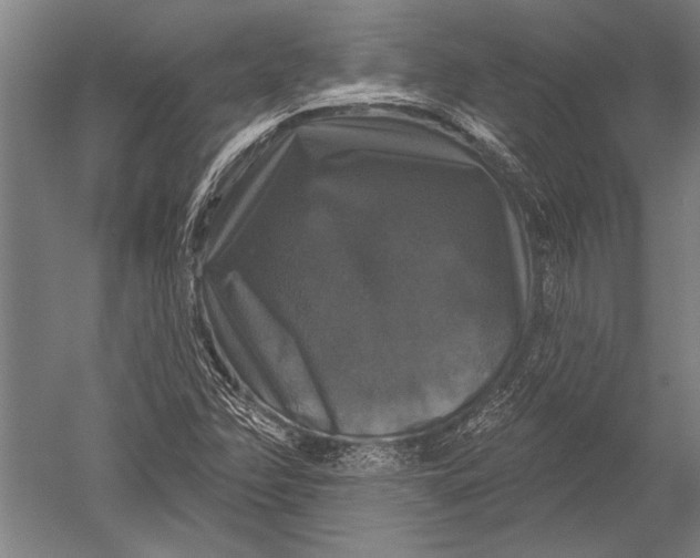 X0000051261358200507082206