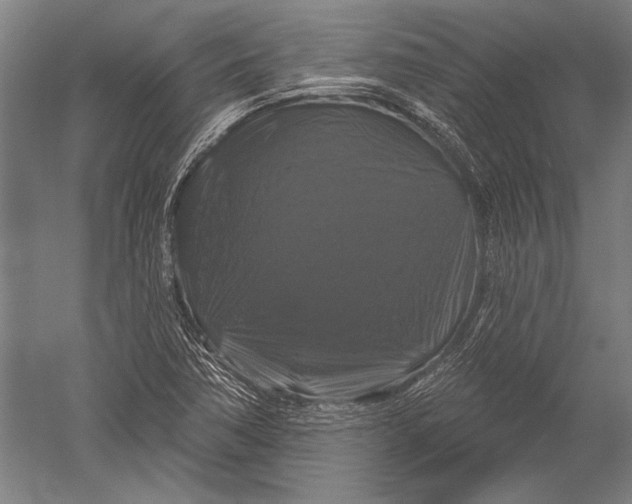 X0000051261362200507082206
